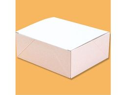 wCR[ GRp[{bNX v[L n 20 004247842