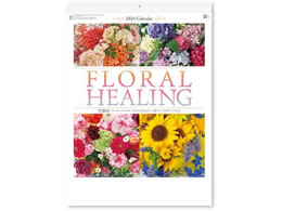 V{J_[ t[q[O ԗÖ@ NK8071