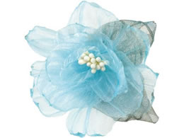 �A�[�e�b�N �R�T�[�W�� ���[�X�t�����[ �u���[ 118864