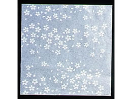 A[ebN NA~  100 CS-300 ua