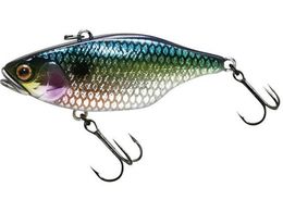 �W���b�J�� TN70 �T�C�����g #�E���R�z�� SS�V���b�h