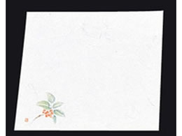 A[ebN Vԓ ~ l 100 NY-3 