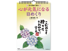 V{J_[ SCɂȂ߂ NK8656