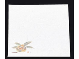 A[ebN Vԓ ~ l 100 NY-16 I