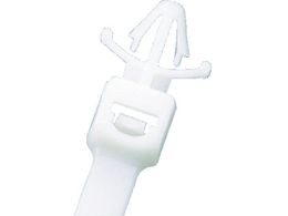 phECbg/݃^CviCoh ECOt