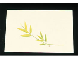 A[ebN ڎO ΂܂ N[ 100 WSS-1 