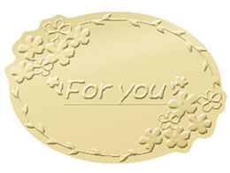 �^�J�� �A�h�e�[�v For You 500�� 21-69