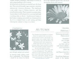 ^J  J[fBAO[ ˔(545~788mm) 50