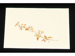 A[ebN ڎO ΂܂ N[ 100 WSS-4 