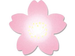 �w�C�R�[ ���[���V�[�� �g�� 500���P�� 007067523