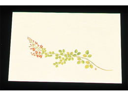 A[ebN ڎO ΂܂ N[ 100 WSS-11 