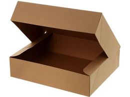 wCR[ NGCg{bNX CR-2 Ntg 10 006860001