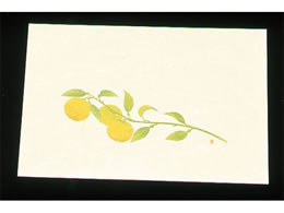 A[ebN ڎO ΂܂ N[ 100 WSS-15 䂸