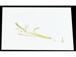 }C lG ݎ 100 M33-107  7961700