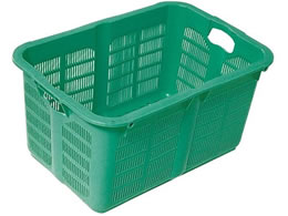 EBM X vXPbg No.500 O[ 1613100