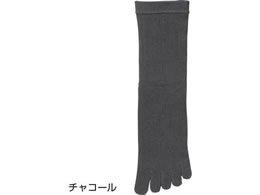 PAt@bV ߂5{w\bNXam `R[ 24`26cm