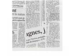 wCR[ ivL 2vC l j[X^[  50 004528000