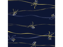 TTK 10[ {u[P ˔ 49-3679