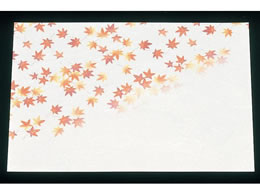 A[ebN ԉ ڎO ΂܂ 100 HM-2 ݂