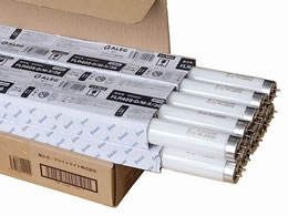 ALEG ���ǌu�������s�b�h�X�^�[�g40�` �����F 10�{1��