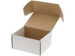 wCR[ t[{bNX F-75 n 10 006206610