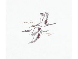 }C Nxێ 100 M30-089  3271900