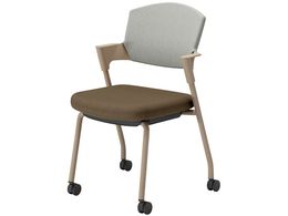 RN cCX vbeB LX^[^Cv K17Z22CWM6E22