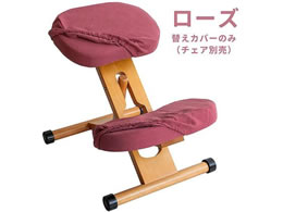 {쏊 v|[V`FApւJo[ [Y CV-8W