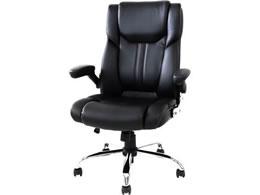 Netforce �G�O�[�N�e�B�u�`�F�A �u���C�Y2 �u���b�N BLAZE-2-FW-BK