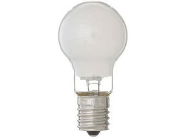 ���U�� �ȃG�l�N���v�g���� 100W�` �t���X�g P451790F