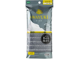 �I�[�G ����䂫�i�C�����^�I�� �ӂ� �O���[