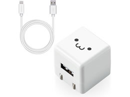 GR AC[d LightningP[u 2.5m 낿 MPA-ACL06WF