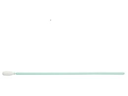 AYsA AYsAN[XeBbN 100{ AP162PCT