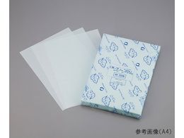 AY N[[po (OKN[RN) B4