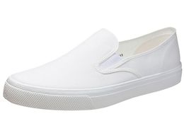 ATqV[Y/fbLV[Y ATq501 zCg