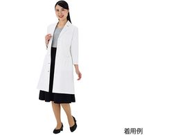 GhXgEEFlX { fUC hN^[R[g zCg L  md223001