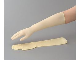 AY ebNXO(X[p[O)M No.336 M