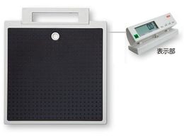 seca fW^tbgXP[[t]4 seca899