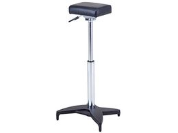 AY RہERˑ(lXeBO^Cv) SAF-BK1