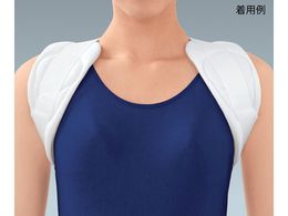 APA NrNohEK LL 17541