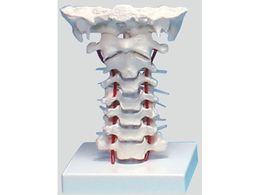 irX Ńf 180~160~125 4073