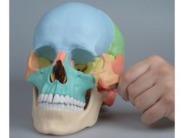 irX W22f 220~150~220 4708