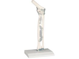 Erler-Zimmer I֐߃f  4556