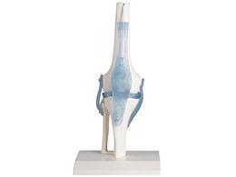 Erler-Zimmer G֐߃f  4552