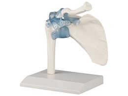 Erler-Zimmer ֐߃f  4550