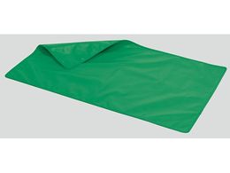 ۉȐ쏊 ːhp|z 0.25mm O[