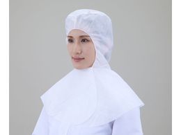 fBJ łłX 50 coE݊^ zCg CA-105