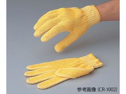 AY S Pv[(R) X^_[h^Cv CR-1001