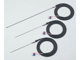 �A�Y����/������R��(�V�[�X�^)�a��3����/�s�o�s