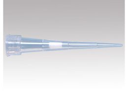 r[G v`itB^[`bv(zEct)10L ŋۍ Xg[g 96{ bN~10bN BM3010